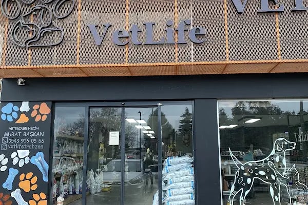 Vetlife Veteriner Kliniği - Resim 5