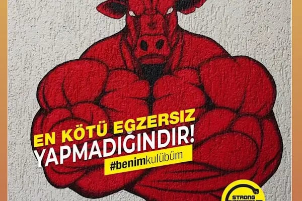 PİLATES BODRUM &amp; Aletli Pilates &amp; Reformer &amp;Bilinçli Zayıflama &amp; En İyi Pilates Studyoları - Resim 10