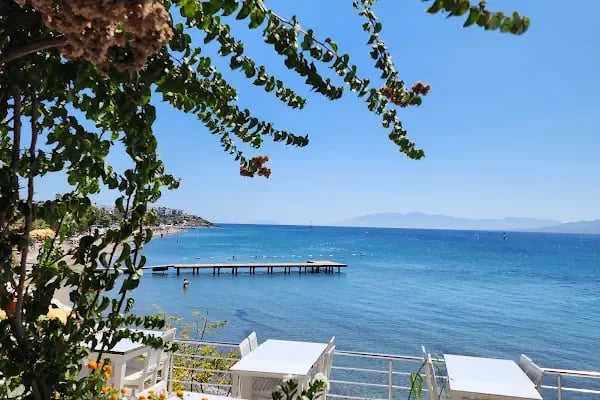 Fener Restaurant - Resim 11