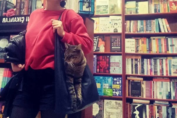 Çetin Kırtasiye &amp; Kitap - Resim 6