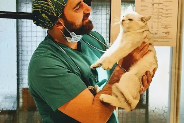 Kartopu Veteriner Kliniği - Resim 4