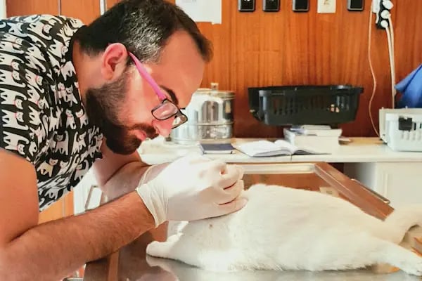 Kartopu Veteriner Kliniği - Resim 16