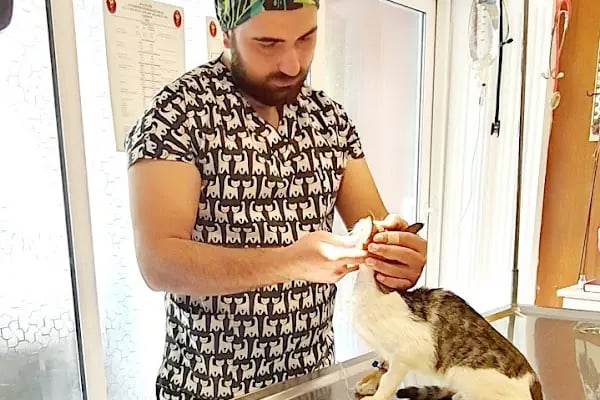 Kartopu Veteriner Kliniği - Resim 6
