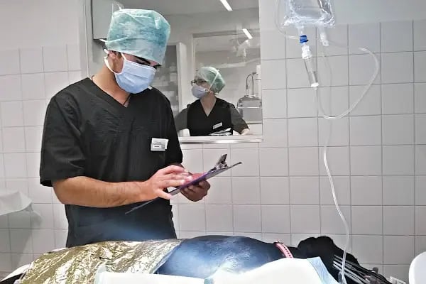 Kartopu Veteriner Kliniği - Resim 2