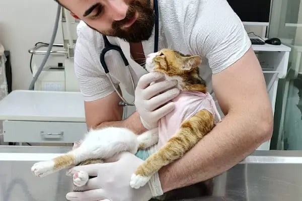 Kartopu Veteriner Kliniği - Resim 12