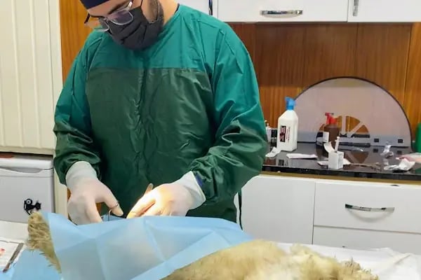Kartopu Veteriner Kliniği - Resim 5