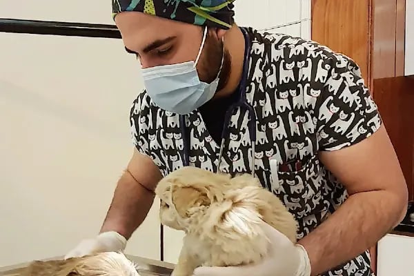 Kartopu Veteriner Kliniği - Resim 10