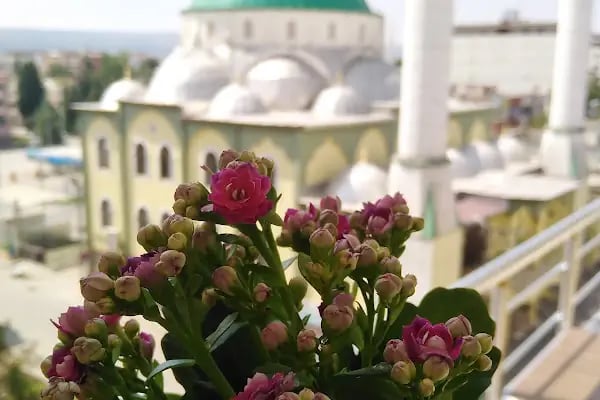 YEŞİLOVA CAMİ - Resim 5
