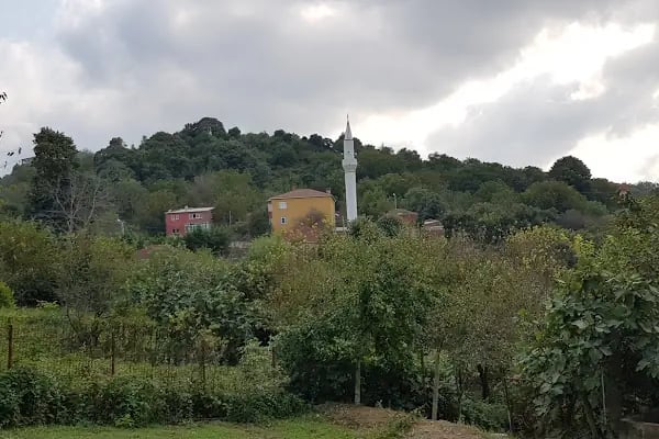 Tayakadın Merkez Camii - Resim 11