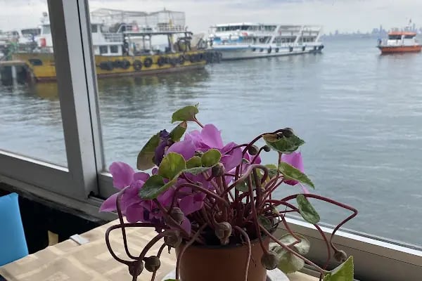 Büyükada Botanik Restaurant - Resim 6