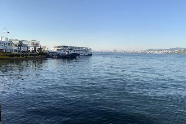 Büyükada Botanik Restaurant - Resim 9
