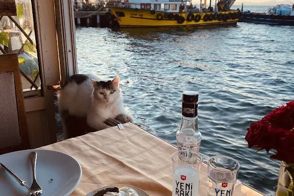 Büyükada Botanik Restaurant - Resim 8