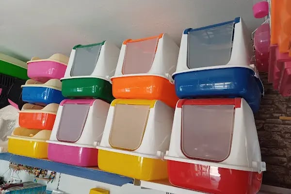 Evcil Dostlar Petshop - Resim 7