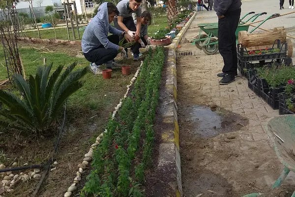 Aysel Akın-Klaus Wagner Mesleki Ve Teknik Anadolu Lisesi - Resim 13