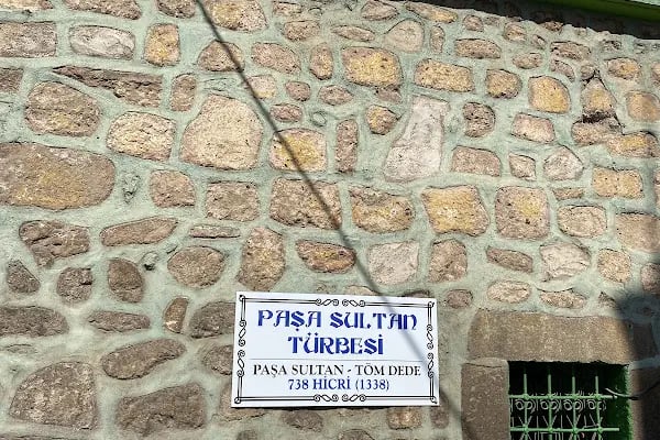 Paşa Sultan Türbesi - Resim 5