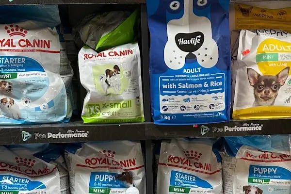 Salih Trabzon Akvaryum Pet Shop Galerisi - Resim 4