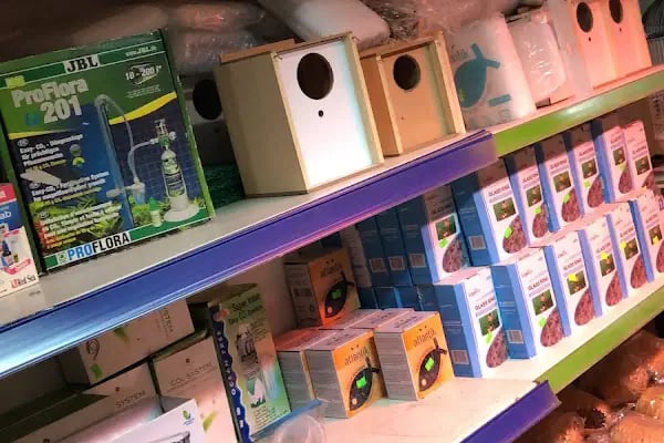Salih Trabzon Akvaryum Pet Shop Galerisi - Resim 16