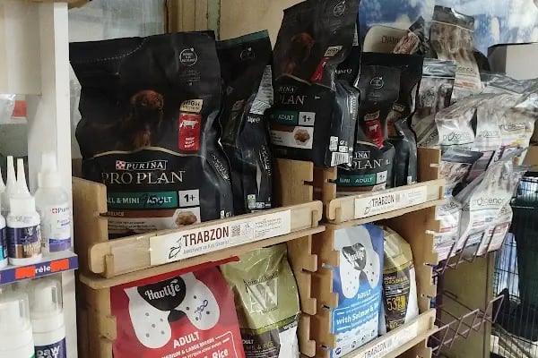 Salih Trabzon Akvaryum Pet Shop Galerisi - Resim 14