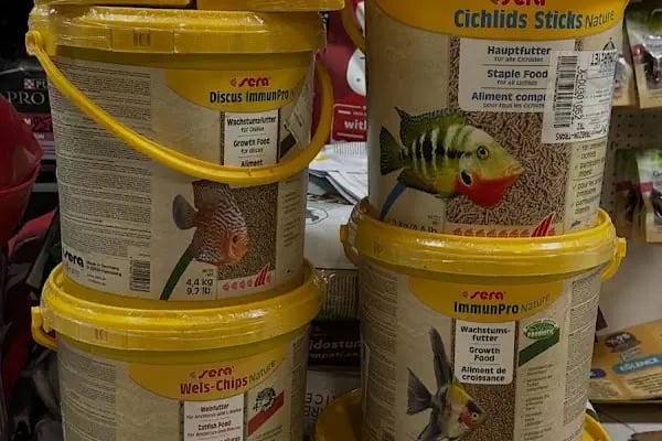 Salih Trabzon Akvaryum Pet Shop Galerisi - Resim 9