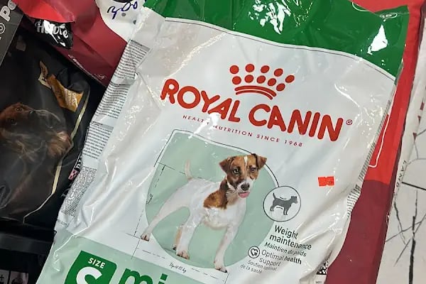 Salih Trabzon Akvaryum Pet Shop Galerisi - Resim 7
