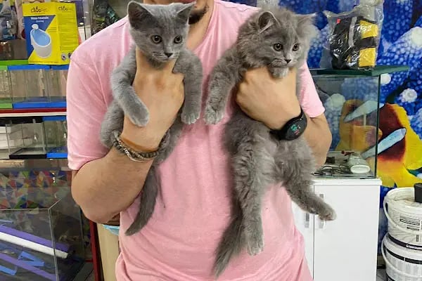Salih Trabzon Akvaryum Pet Shop Galerisi - Resim 18
