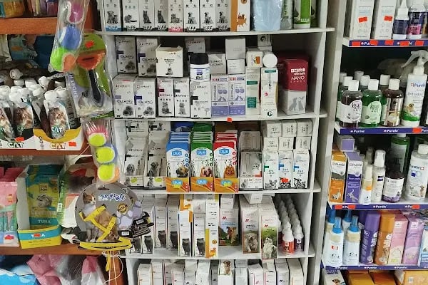 Salih Trabzon Akvaryum Pet Shop Galerisi - Resim 6