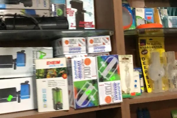 Salih Trabzon Akvaryum Pet Shop Galerisi - Resim 10