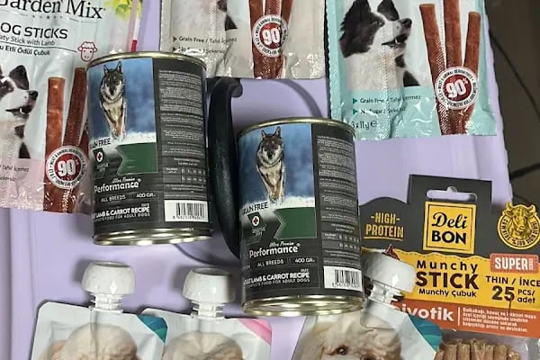 Salih Trabzon Akvaryum Pet Shop Galerisi - Resim 11