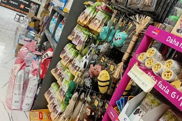 Salih Trabzon Akvaryum Pet Shop Galerisi - Resim 2
