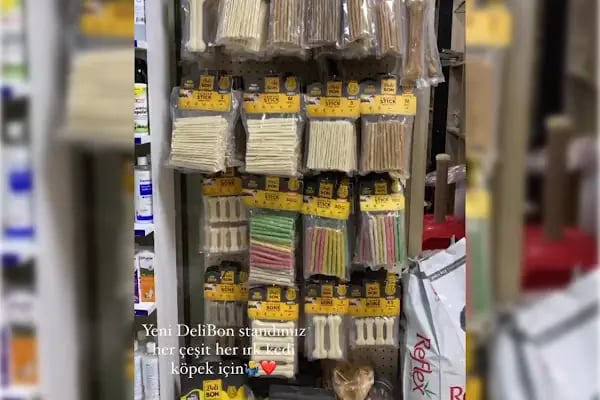 Salih Trabzon Akvaryum Pet Shop Galerisi - Resim 8