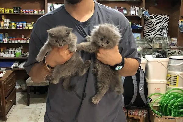 Salih Trabzon Akvaryum Pet Shop Galerisi - Resim 19