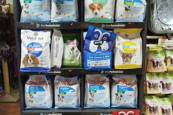 Salih Trabzon Akvaryum Pet Shop Galerisi - Resim 12