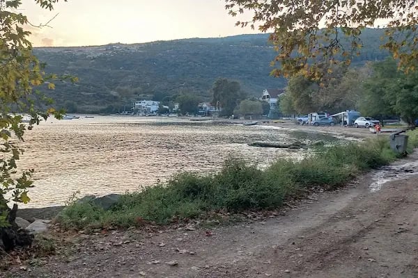 Tanaşa Sahil - Resim 7