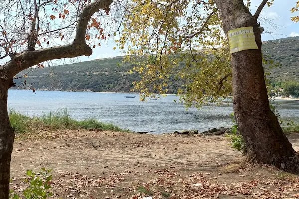 Tanaşa Sahil - Resim 9
