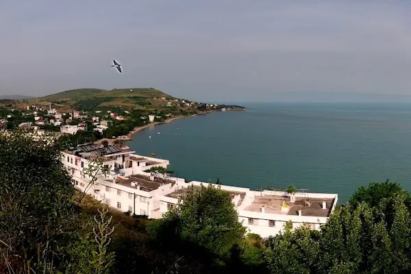 Tanaşa Sahil - Resim 15