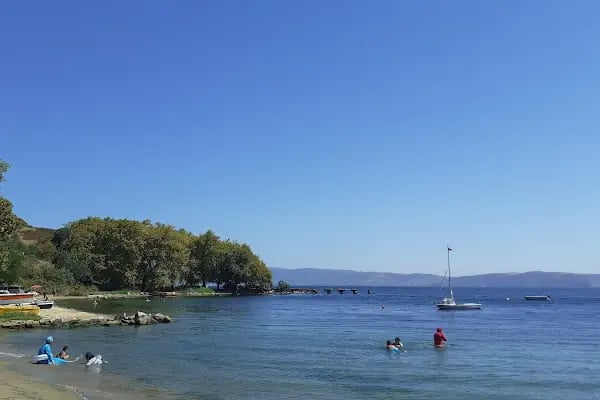 Tanaşa Sahil - Resim 3