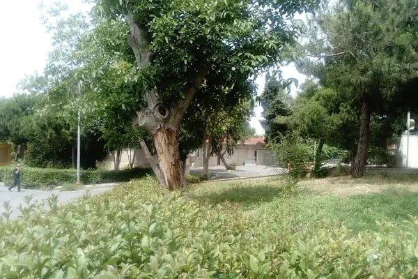 İl Ambulans Servisi Başhekimliği Avrupa Komuta Kontrol Merkezi - Resim 9
