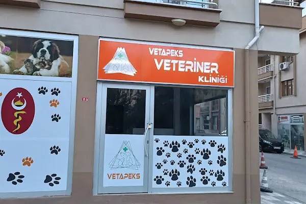 Vetapeks Veteriner Kliniği - Resim 7