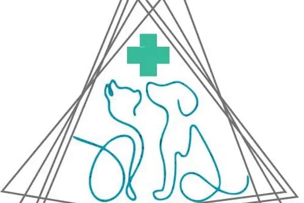Vetapeks Veteriner Kliniği - Resim 8