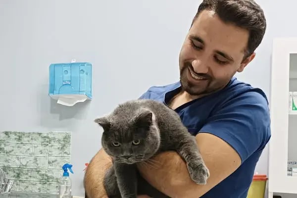 Vetapeks Veteriner Kliniği - Resim 4