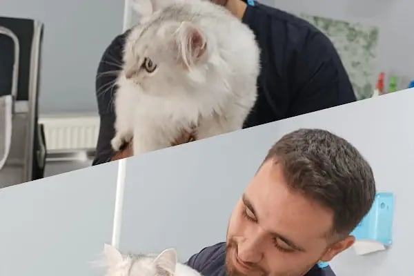 Vetapeks Veteriner Kliniği - Resim 5