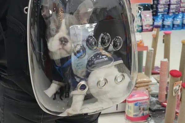PETSHOP PET CENTER - Resim 16
