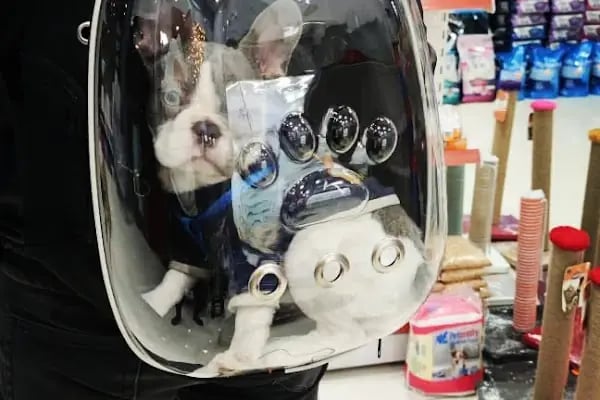 PETSHOP PET CENTER - Resim 4