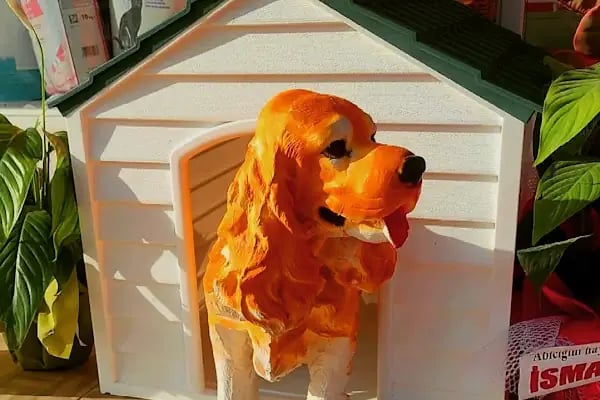 PETSHOP PET CENTER - Resim 10