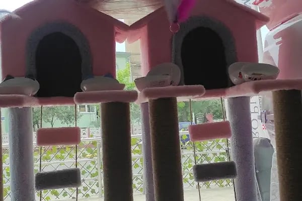 PETSHOP PET CENTER - Resim 7