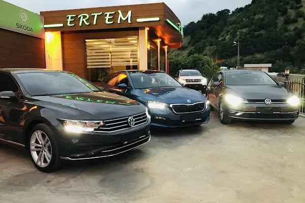 Galeri Ertem - Resim 4