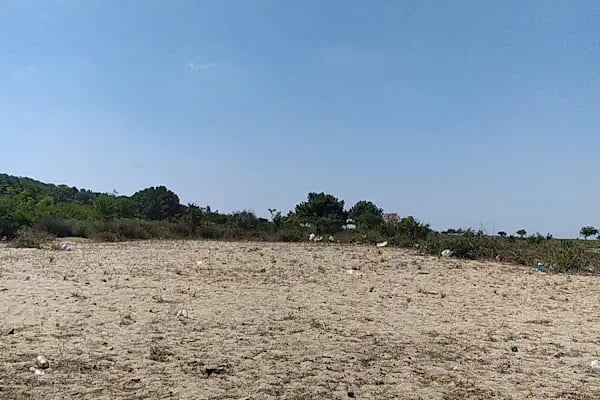 Enez kamp - Resim 2