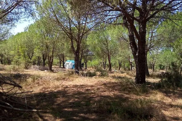 Enez kamp - Resim 5