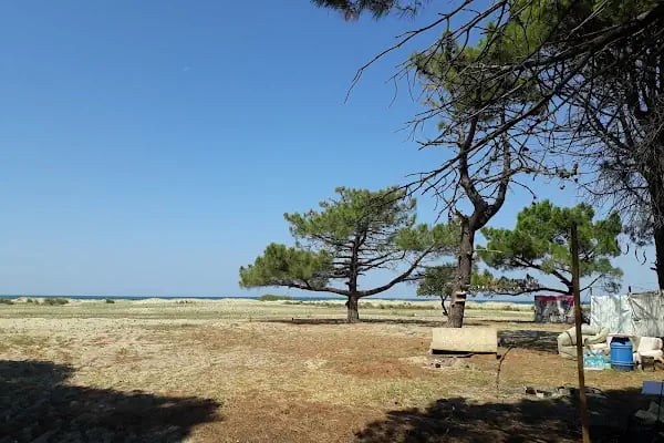 Enez kamp - Resim 14