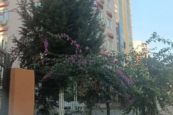 Adana Aile ve Sosyal Hizmetler il Müdürlüğü - Resim 4